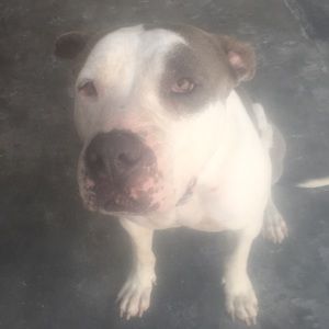 Meet your Posher, Cristi